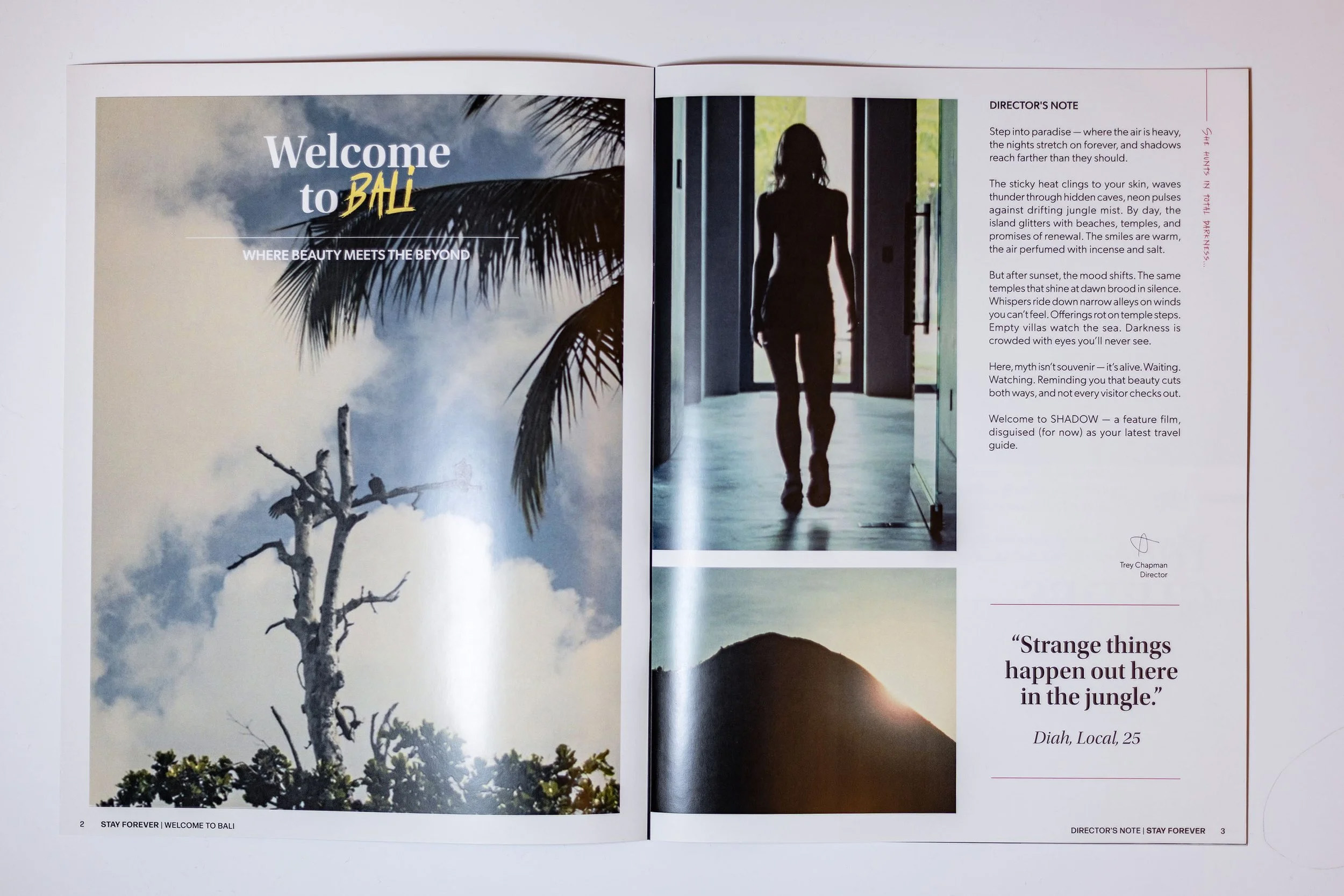 pages 2+3